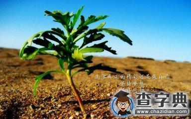 考研全攻略（包含所有可能遇到的考研問題）14