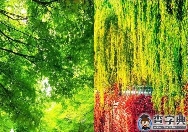 2016年清華研究生開學季：新同學，你從哪里來？7