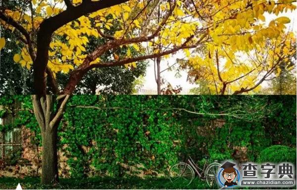 2016年清華研究生開學季：新同學，你從哪里來？2