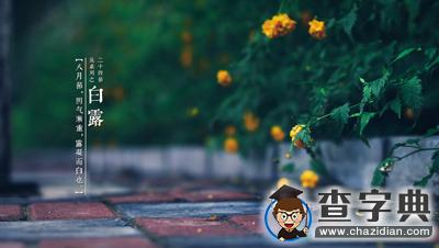 露從今夜白：二十四節氣之白露1