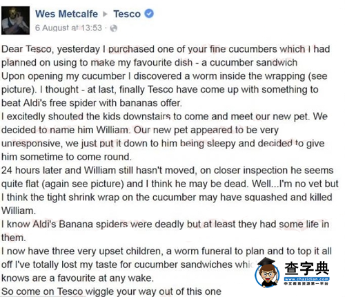 這很英國!一條蚯蚓引發的腦洞比賽...3