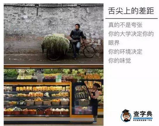 告訴你為什么要出國留學，努力上名校（圖）4