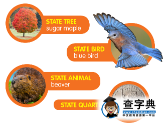 美國各州收入差距，留學生必看16