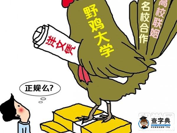 美國50所“野雞大學”曝光，小心別上當！1