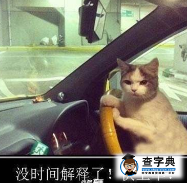 美國留學學長的30條忠告，老司機帶帶我！1