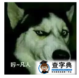 留學生們最不喜歡被問到的問題，我想靜靜！1