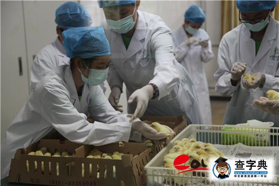 學農教育：北京教委為教育供給側改革播下金種子8
