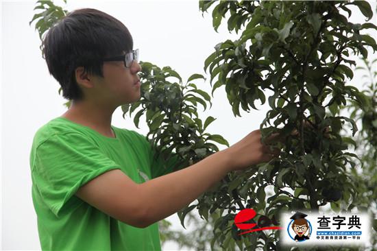 學農教育：北京教委為教育供給側改革播下金種子1