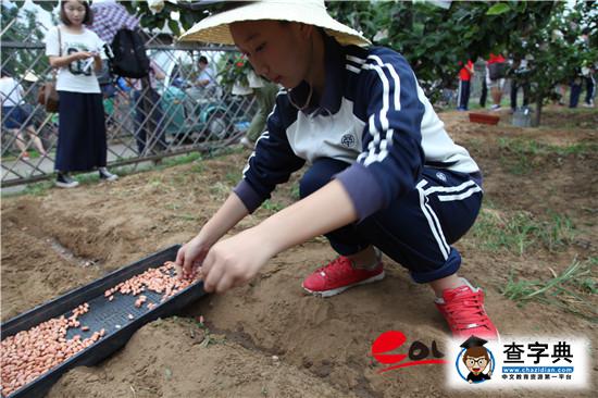 學農教育：北京教委為教育供給側改革播下金種子3