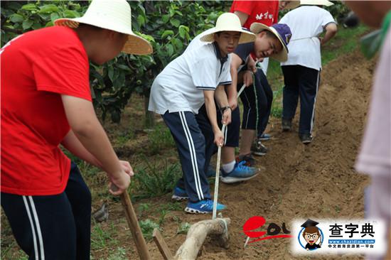 學農教育：北京教委為教育供給側改革播下金種子2