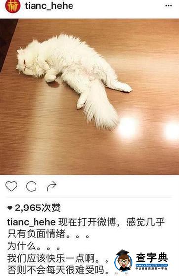 網友微博罵陳赫女兒 陳赫在ins怎么回應？鄧超也出來說話了4