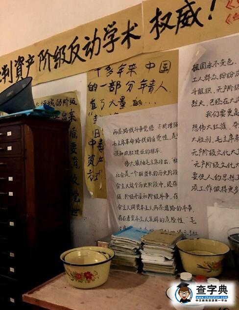 童蕾曬六七十年代自拍照 網友贊“革命女神”2