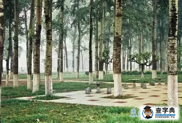 趣談 | 還在測“七宗罪”？你一定沒看過山大的！6