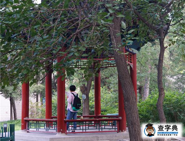 記錄|讓每一縷晨光伴你前行3