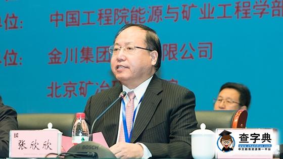 中國工程科技論壇“深部礦產資源高效開發與利用”在京召開3