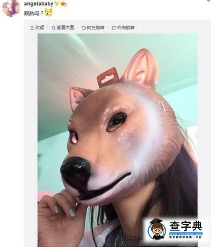 Angelababy戴狗頭面具 網友：妖孽哪里跑1