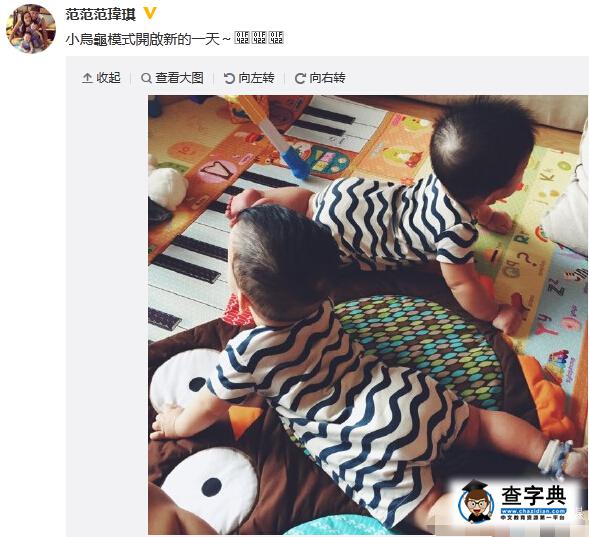 又錯了？范瑋琪夫婦跑道推嬰兒車被指違規6