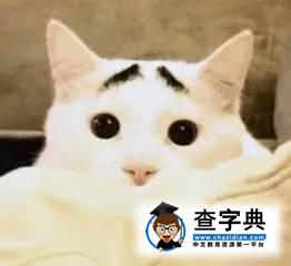 【英語四六級】不知道準考證號也能查考試成績！4