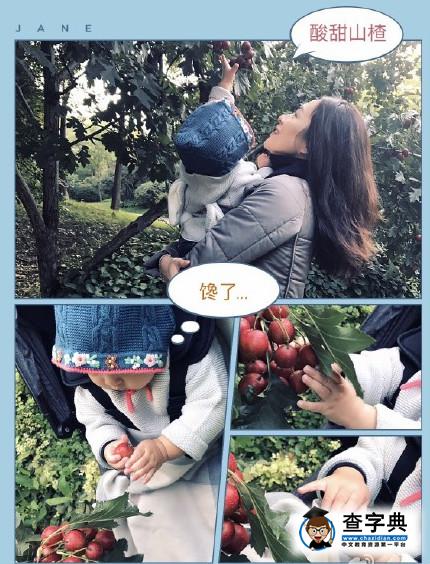 八小妹：離婚讓王寶強變成窮光蛋？5