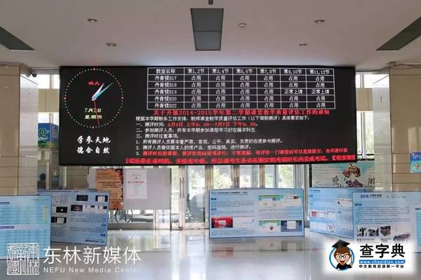 藍瘦香菇？自習地點選得好，門門考試沒煩惱！7