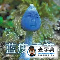 在蘭大，我們從來不會藍瘦香菇1