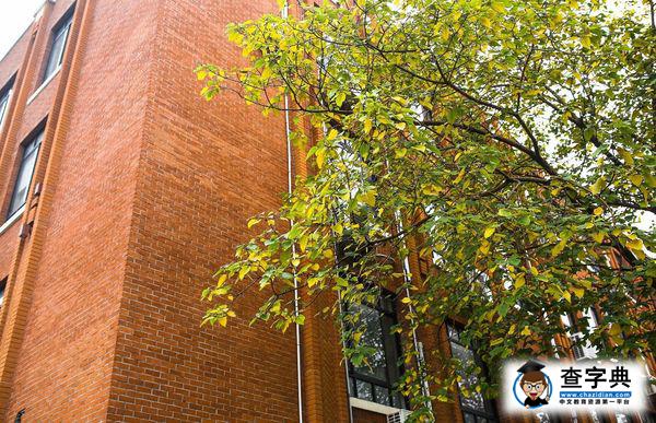 最新泰晤士大學排名：華東師大國際化程度表現上佳3