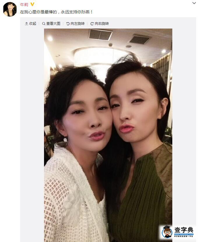 小陶虹被曝出軌男導演 牛莉發文力挺：永遠支持你1