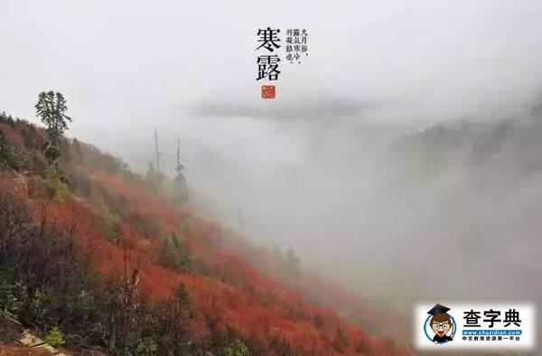 【國醫·資訊】北中醫校內微信公眾號排行榜(10.23