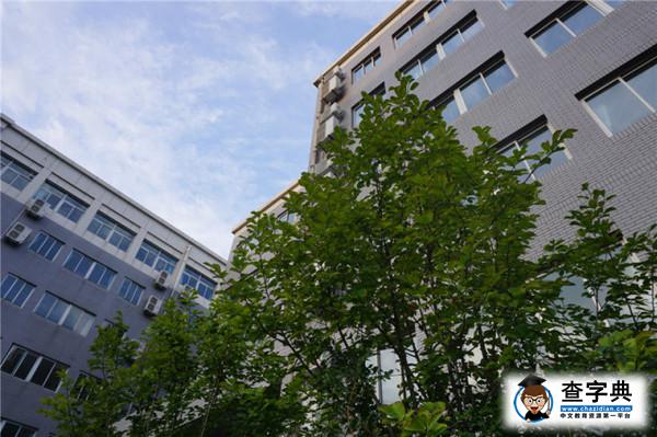 記錄|讓每一縷晨光伴你前行4