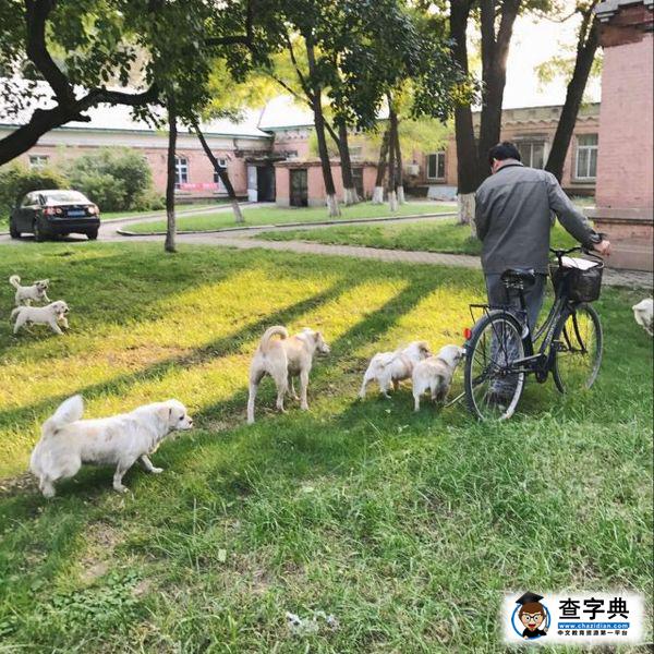 大型紀錄片《我們誕生在東大》上映20