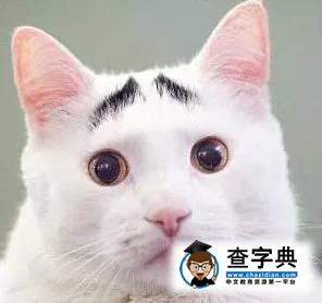 【英語四六級】不知道準考證號也能查考試成績！1