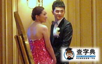 主持人李晨nic疑似被曝出軌嫩模 主持人李晨老婆趙瓊個人資料4