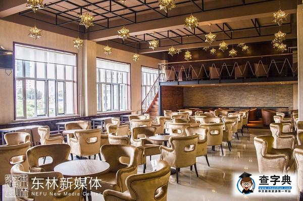 藍瘦香菇？自習地點選得好，門門考試沒煩惱！9