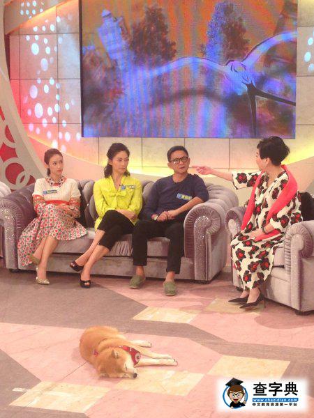 女主持爆料金鐘獎“潛規則”，被請到臺下坐原來是…1