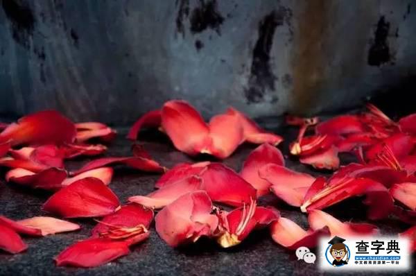 華南理工，從你的全世界路過2