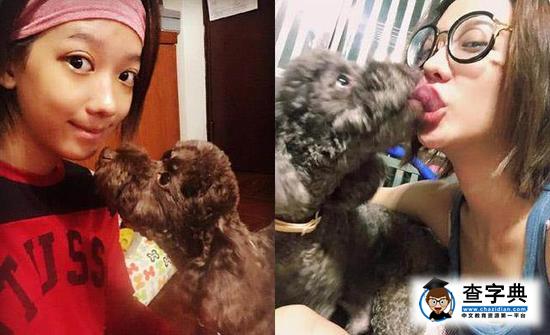 黃子佼女友與愛犬舌吻 被批不衛生太惡心1