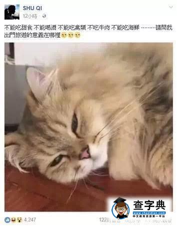 同樣是結婚生子 林心如懷孕百無禁忌舒淇小心翼翼姐妹形成反差萌5