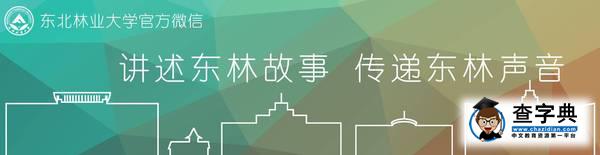 東林生存指南NO.7|自習寶地Top6，可以，這很東林1