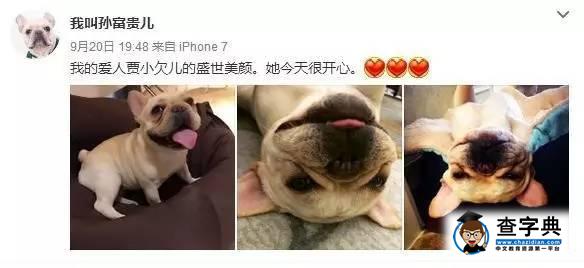 賈玲當街被強吻，史上最最最重量級情侶橫空出世？25