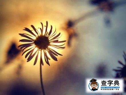 看看高校都有那些“奇葩”的社團1