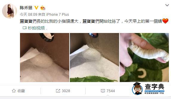 陳喬恩還有這特殊癖好  養蠶放手上  網友：你開心就好3