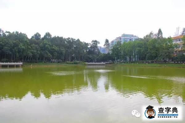 華南理工，從你的全世界路過10