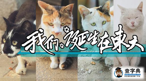 大型紀錄片《我們誕生在東大》上映1