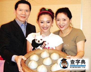 向太指遭水軍圍攻回應：張柏芝別再任性1
