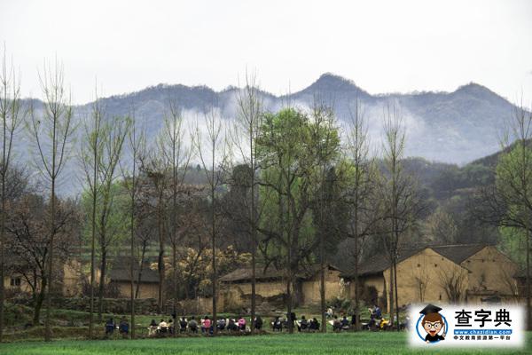 長安大學手機隨拍攝影大賽，投票等你來！！！6