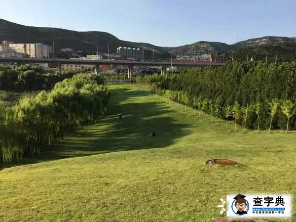 趣談 | 還在測“七宗罪”？你一定沒看過山大的！35