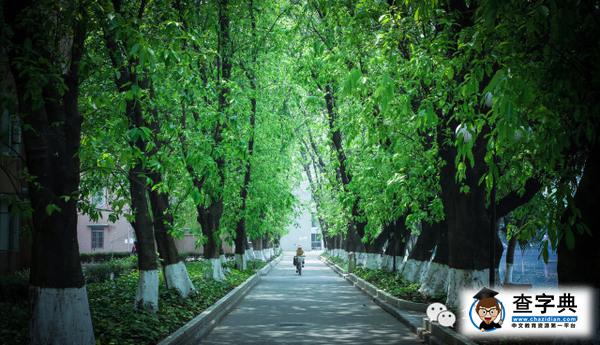 華南理工，從你的全世界路過18