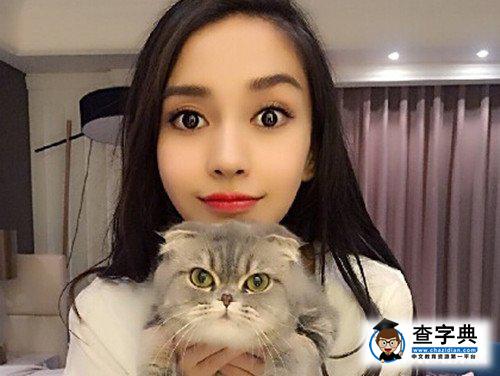 baby被炮轟沒腦子 反對折耳貓結扎何錯之有3