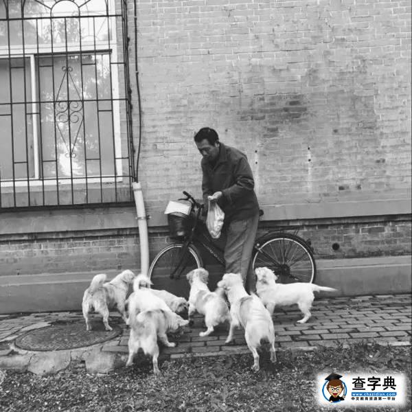 大型紀錄片《我們誕生在東大》上映21
