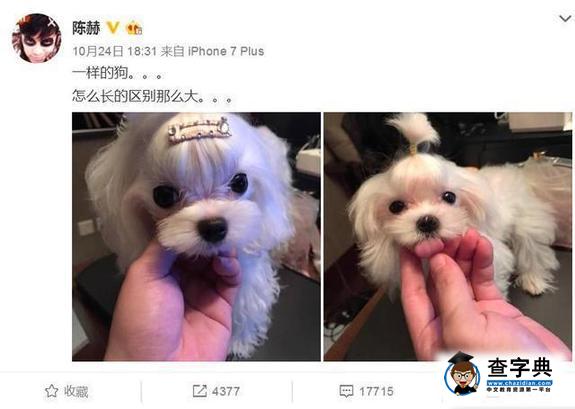 網友微博罵陳赫女兒 陳赫在ins怎么回應？鄧超也出來說話了6